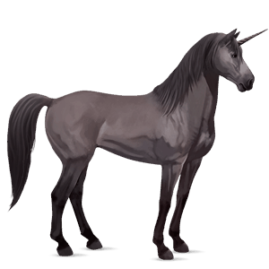 ridenhörning paint horse mörkfux tovero