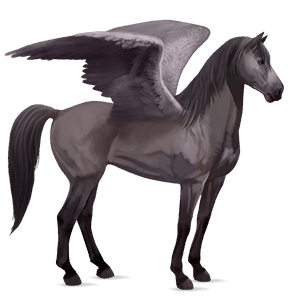 ridpegasus hannoveranare brun