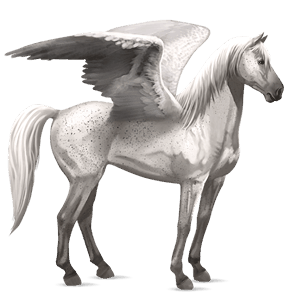 ridpegasus hannoveranare fux