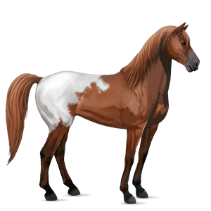 ridhäst mustang fux blanket 