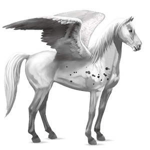 ridpegasus lusitano gulbrun