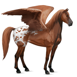 ridpegasus konstantskimmel