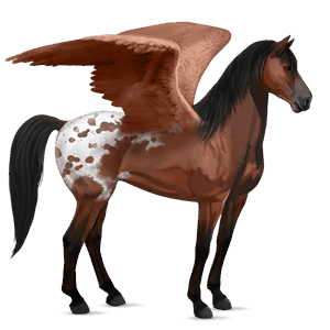 ridpegasus mustang körsbärsfärgad fläckig blanket