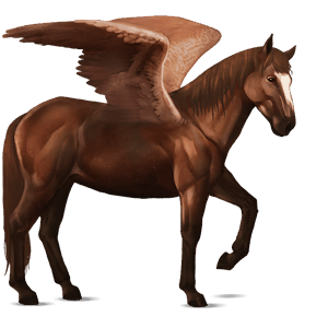pegasus-ponny kerry bog fux