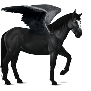 ridpegasus frieser svart