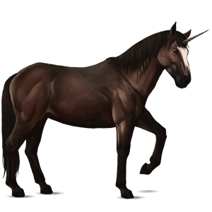 ridenhörning mustang mörkbrun