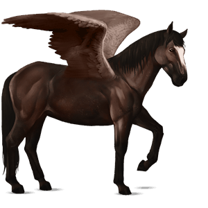 ridpegasus lusitano gulbrun