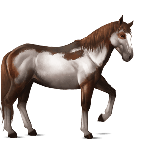 ridhäst lusitano fux