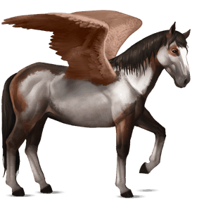 ridpegasus argentinsk criollo brun tovero