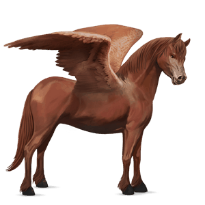 pegasus-ponny welshponny fux
