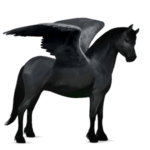 pegasus-ponny welshponny avblekbar skimmel
