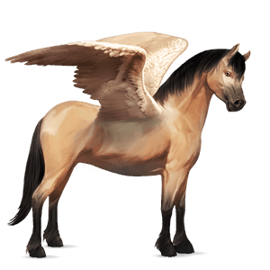 pegasus-ponny shetlandsponny fux