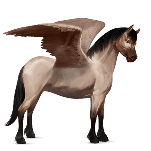 pegasus-ponny belgisk ridponny konstantskimmel