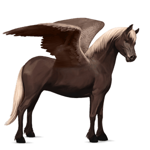 pegasus-ponny newfoundland-ponny mörkbrun