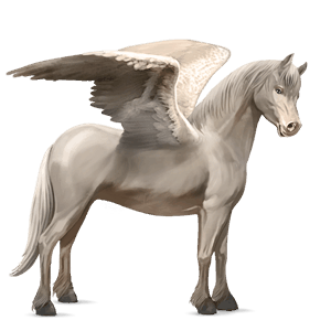 pegasus-ponny belgisk ridponny gulvit