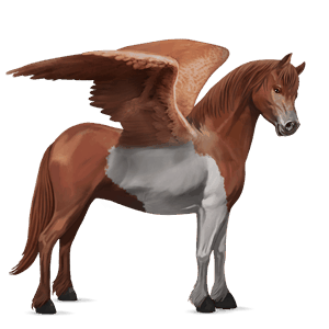 pegasus-ponny linfux 
