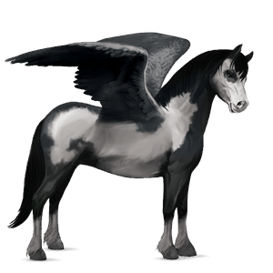 pegasus-ponny grå