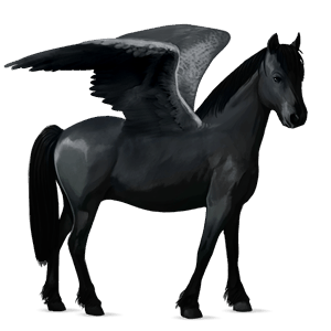 pegasus-ponny welshponny svart