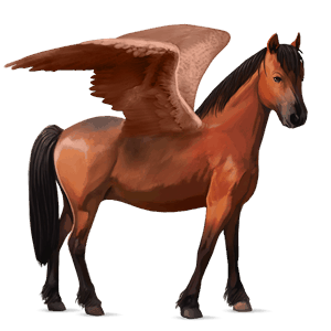 pegasus-ponny welshponny körsbärsbrun