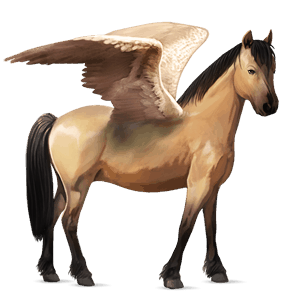 ridpegasus arabiskt fullblod gulbrun