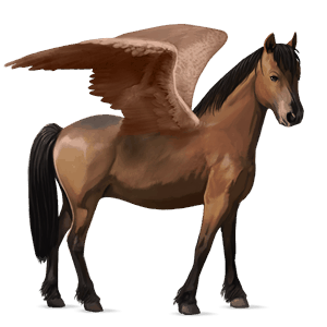 pegasus-ponny welshponny brun
