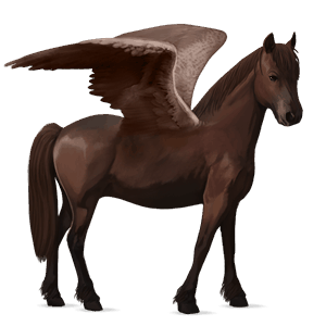 pegasus-ponny welshponny mörkfux