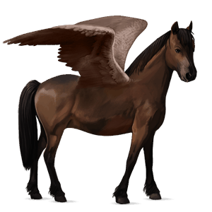 pegasus-ponny newfoundland-ponny mörkfux