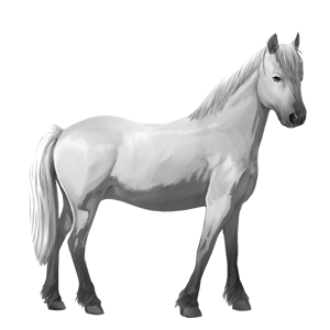 ponny shetlandsponny brun tobiano