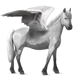 ridpegasus svart