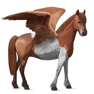 pegasus-ponny kerry bog fux tobiano