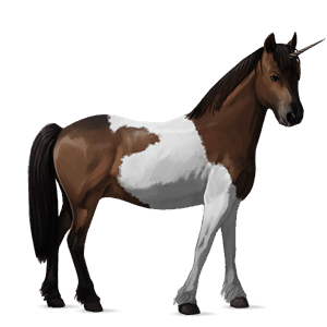 enhörningsponny highlandponny svart