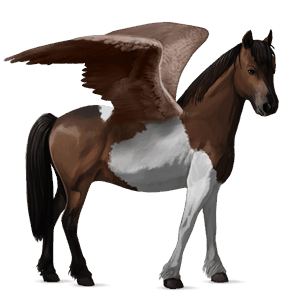 ridpegasus brun