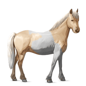 ponny brun