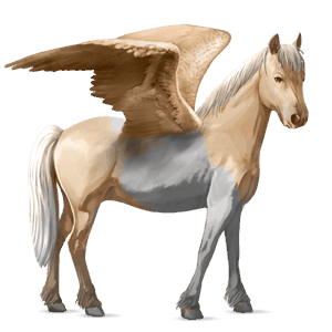 pegasus-ponny shetlandsponny mörkbrun