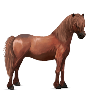 ponny highlandponny fux