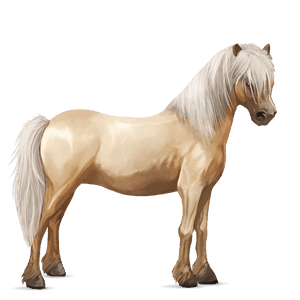 ponny isabell