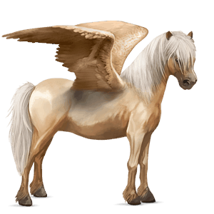 pegasus-ponny isabell