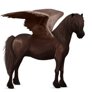 pegasus-ponny mörkfux