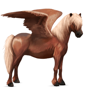 pegasus-ponny highlandponny mörk linfux 