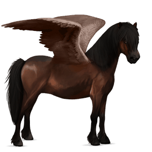 pegasus-ponny mörkbrun