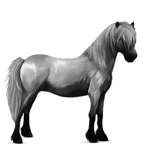 ponny haflinger linfux 