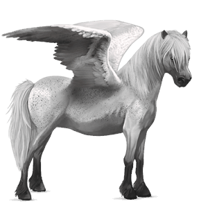 pegasus-ponny shetlandsponny mörkbrun