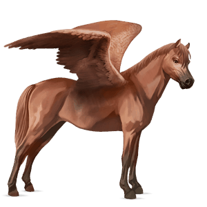pegasus-ponny welshponny brun