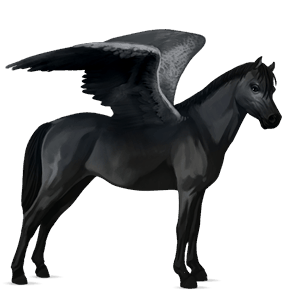 pegasus-ponny welshponny svart