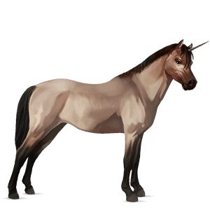 ridenhörning paint horse rödbrun overo