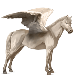 ridpegasus lusitano gulvit