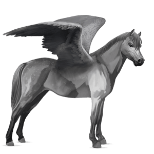 pegasus-ponny welshponny brun