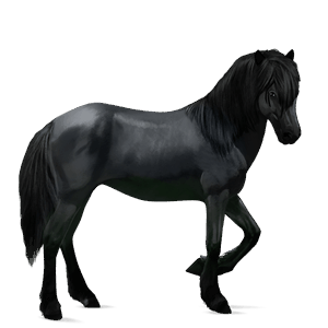ridhäst mustang svart