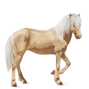 ridhäst lusitano isabell