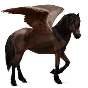 ridpegasus mörkbrun